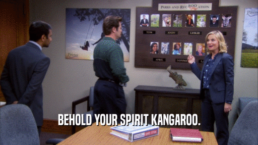 BEHOLD YOUR SPIRIT KANGAROO.  