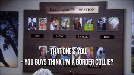 - THAT ONE'S YOU. - YOU GUYS THINK I'M A BORDER COLLIE? 