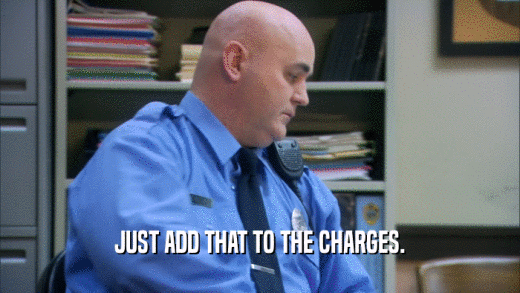 JUST ADD THAT TO THE CHARGES.  