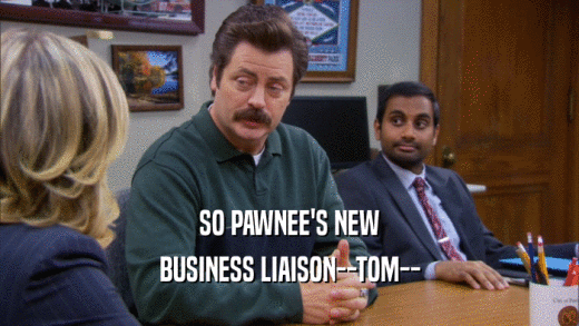 SO PAWNEE'S NEW BUSINESS LIAISON--TOM-- 