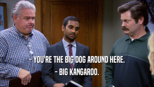 - YOU'RE THE BIG DOG AROUND HERE. - BIG KANGAROO. 