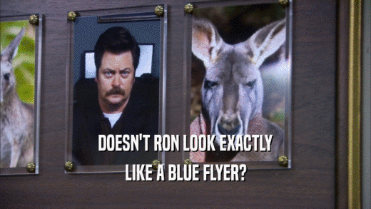 DOESN'T RON LOOK EXACTLY LIKE A BLUE FLYER? 