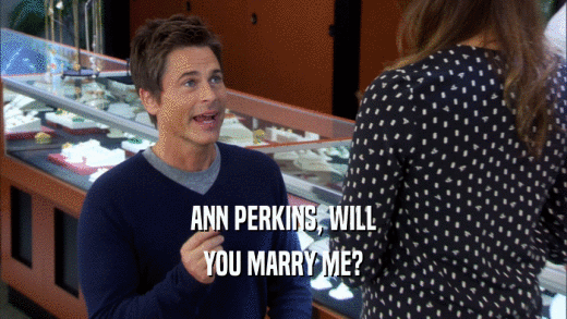 ANN PERKINS, WILL YOU MARRY ME? 