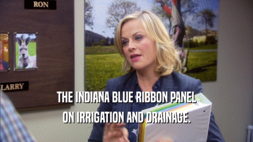 THE INDIANA BLUE RIBBON PANEL ON IRRIGATION AND DRAINAGE. 