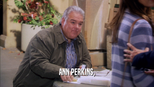 ANN PERKINS,  