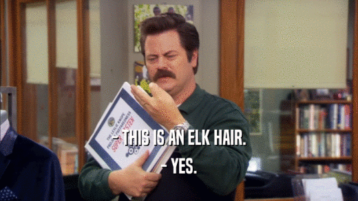 - THIS IS AN ELK HAIR. - YES. 