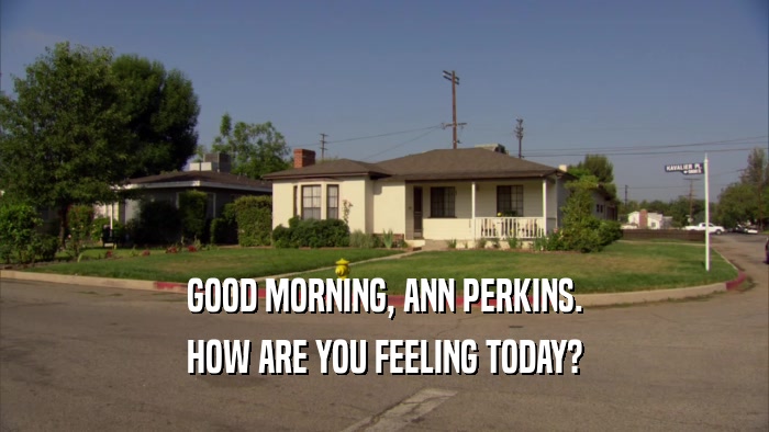 GOOD MORNING, ANN PERKINS. HOW ARE YOU FEELING TODAY? 