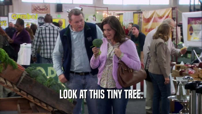 LOOK AT THIS TINY TREE.  