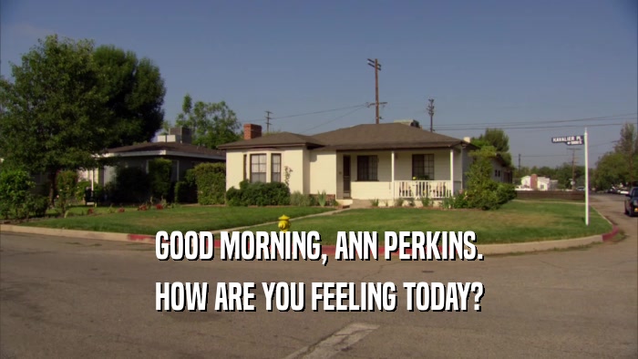 GOOD MORNING, ANN PERKINS. HOW ARE YOU FEELING TODAY? 