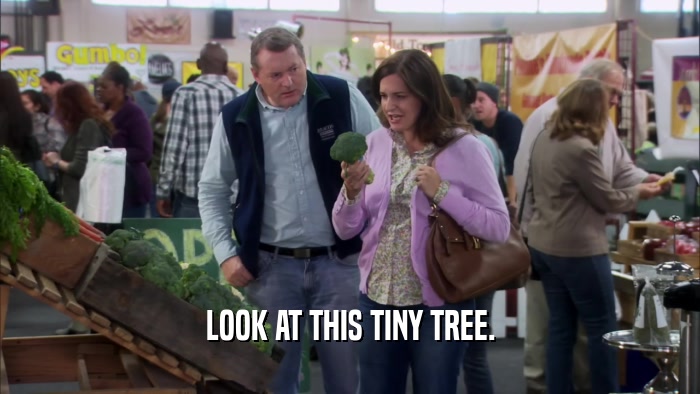 LOOK AT THIS TINY TREE.  
