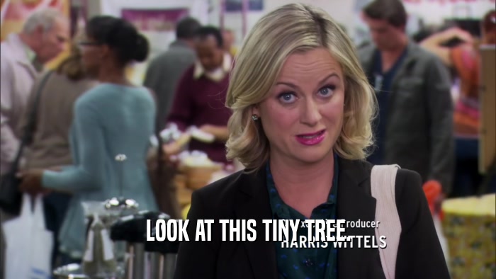 LOOK AT THIS TINY TREE.  