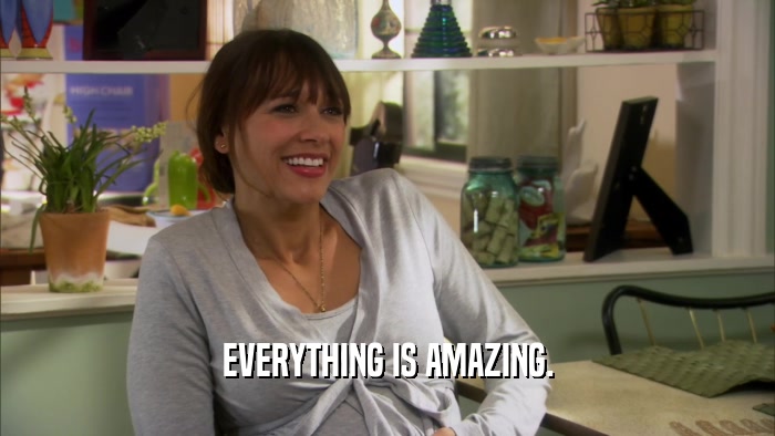 EVERYTHING IS AMAZING.  