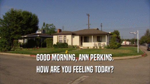 GOOD MORNING, ANN PERKINS. HOW ARE YOU FEELING TODAY? 