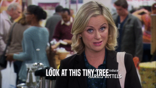 LOOK AT THIS TINY TREE.  