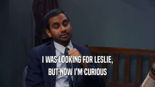 I WAS LOOKING FOR LESLIE, BUT NOW I'M CURIOUS 