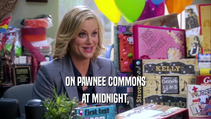 ON PAWNEE COMMONS AT MIDNIGHT, 