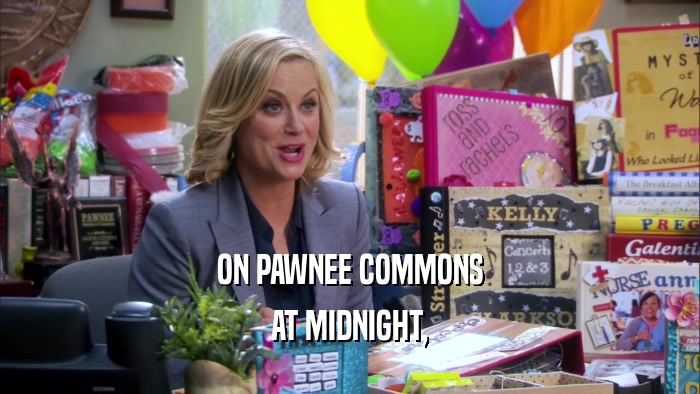 ON PAWNEE COMMONS AT MIDNIGHT, 