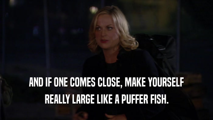 AND IF ONE COMES CLOSE, MAKE YOURSELF REALLY LARGE LIKE A PUFFER FISH. 