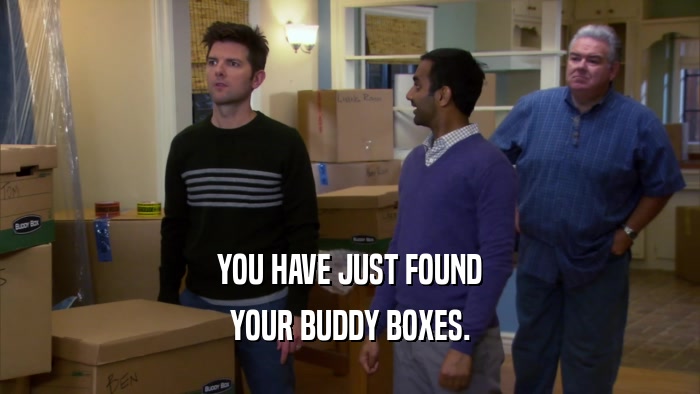 YOU HAVE JUST FOUND YOUR BUDDY BOXES. 