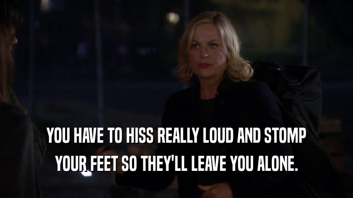 YOU HAVE TO HISS REALLY LOUD AND STOMP YOUR FEET SO THEY'LL LEAVE YOU ALONE. 