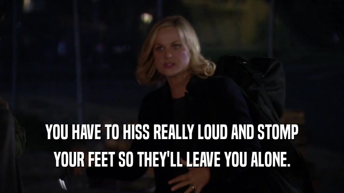 YOU HAVE TO HISS REALLY LOUD AND STOMP YOUR FEET SO THEY'LL LEAVE YOU ALONE. 