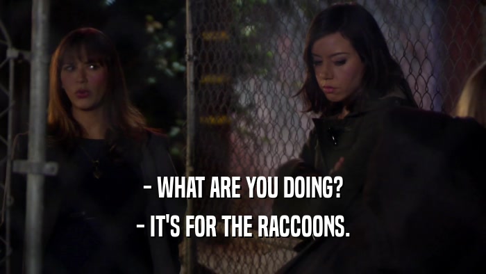 - WHAT ARE YOU DOING? - IT'S FOR THE RACCOONS. 