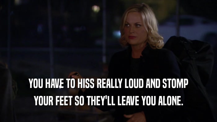 YOU HAVE TO HISS REALLY LOUD AND STOMP YOUR FEET SO THEY'LL LEAVE YOU ALONE. 