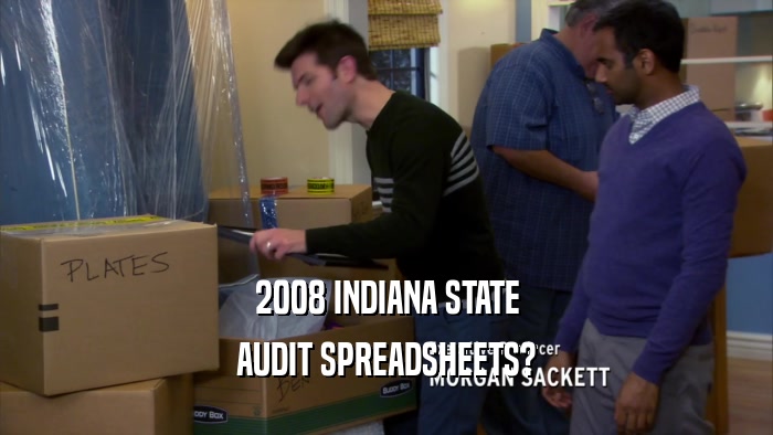 2008 INDIANA STATE AUDIT SPREADSHEETS? 