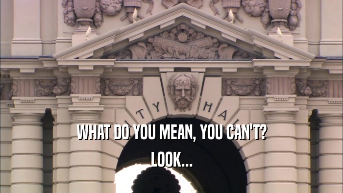 WHAT DO YOU MEAN, YOU CAN'T? LOOK... 
