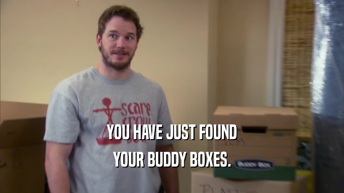 YOU HAVE JUST FOUND YOUR BUDDY BOXES. 