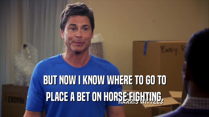BUT NOW I KNOW WHERE TO GO TO
 PLACE A BET ON HORSE FIGHTING.
 