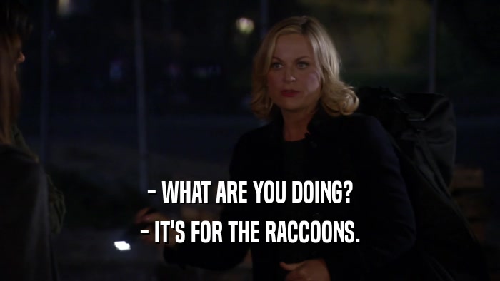 - WHAT ARE YOU DOING? - IT'S FOR THE RACCOONS. 