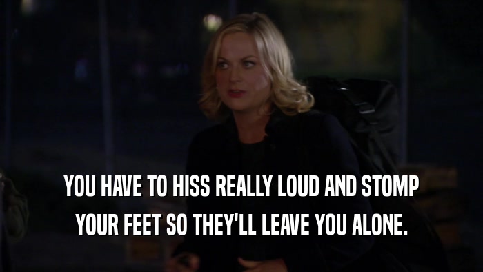 YOU HAVE TO HISS REALLY LOUD AND STOMP YOUR FEET SO THEY'LL LEAVE YOU ALONE. 