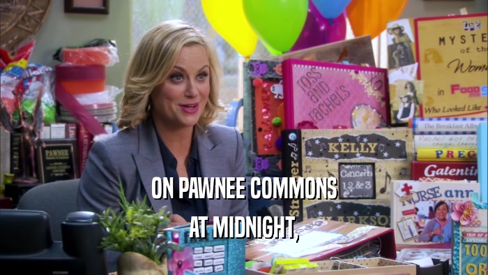 ON PAWNEE COMMONS AT MIDNIGHT, 