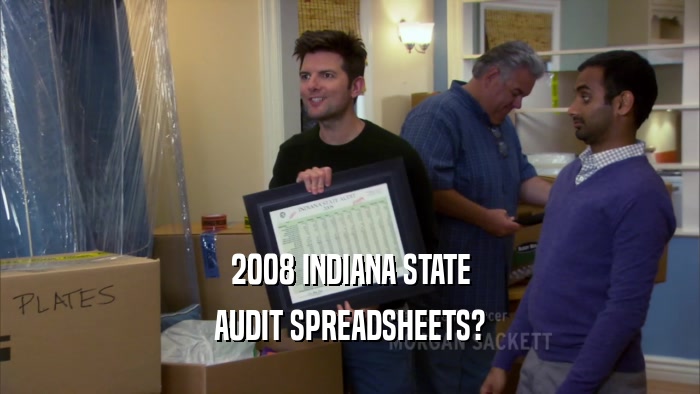 2008 INDIANA STATE AUDIT SPREADSHEETS? 