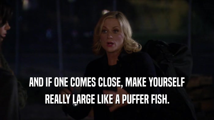 AND IF ONE COMES CLOSE, MAKE YOURSELF REALLY LARGE LIKE A PUFFER FISH. 