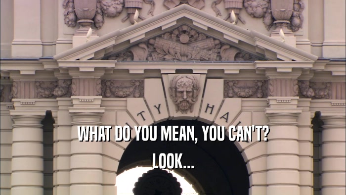 WHAT DO YOU MEAN, YOU CAN'T? LOOK... 