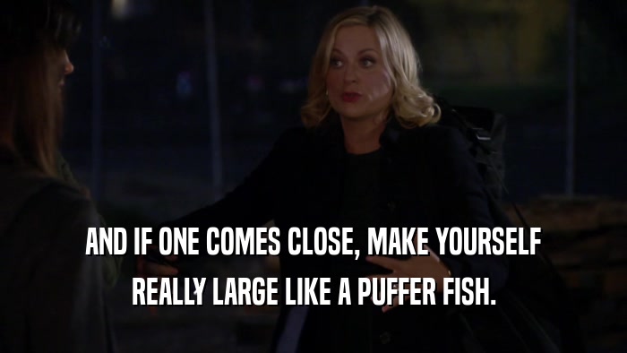 AND IF ONE COMES CLOSE, MAKE YOURSELF REALLY LARGE LIKE A PUFFER FISH. 