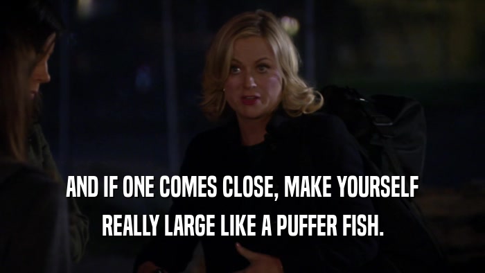 AND IF ONE COMES CLOSE, MAKE YOURSELF REALLY LARGE LIKE A PUFFER FISH. 