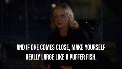AND IF ONE COMES CLOSE, MAKE YOURSELF
 REALLY LARGE LIKE A PUFFER FISH.
 
