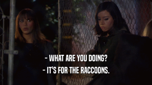- WHAT ARE YOU DOING? - IT'S FOR THE RACCOONS. 