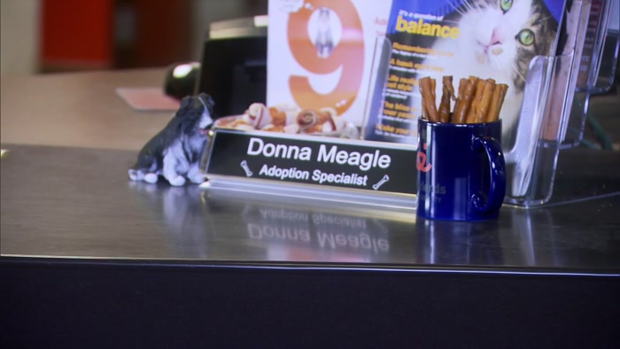 AWESOME. WELL, DONNA CAN HELP YOU GET STARTED ON THE PAPERWORK. 