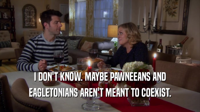 I DON'T KNOW. MAYBE PAWNEEANS AND EAGLETONIANS AREN'T MEANT TO COEXIST. 