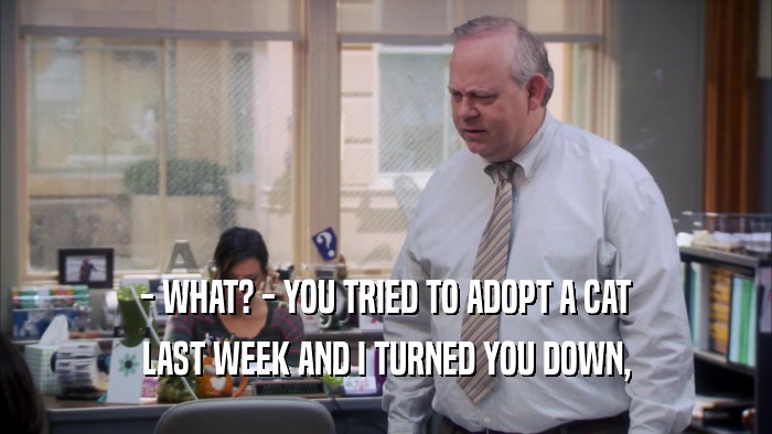 - WHAT? - YOU TRIED TO ADOPT A CAT LAST WEEK AND I TURNED YOU DOWN, 