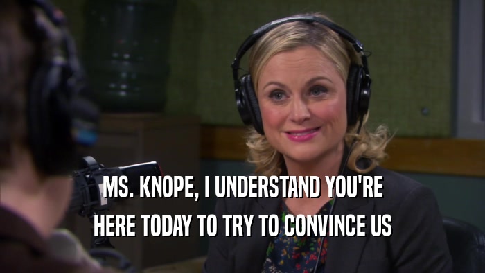 MS. KNOPE, I UNDERSTAND YOU'RE
 HERE TODAY TO TRY TO CONVINCE US
 