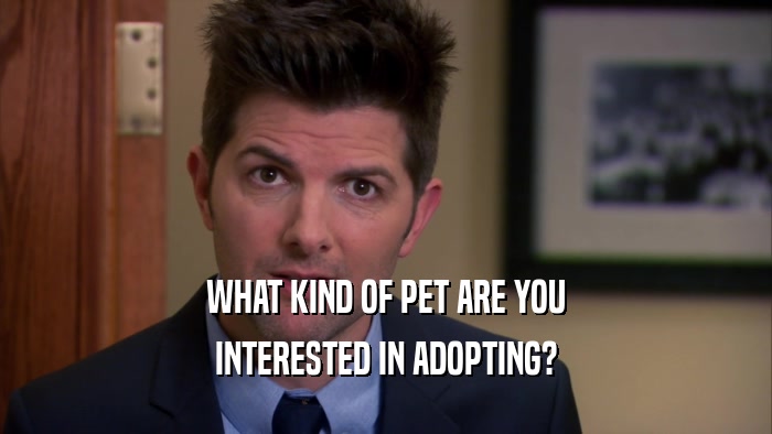 WHAT KIND OF PET ARE YOU INTERESTED IN ADOPTING? 