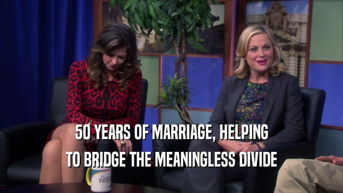 50 YEARS OF MARRIAGE, HELPING TO BRIDGE THE MEANINGLESS DIVIDE 