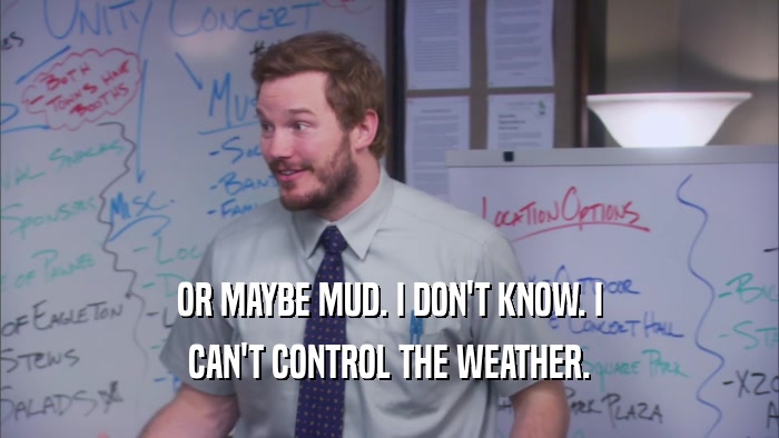 OR MAYBE MUD. I DON'T KNOW. I CAN'T CONTROL THE WEATHER. 
