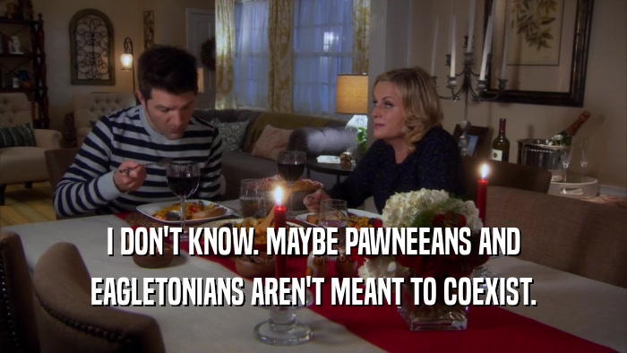I DON'T KNOW. MAYBE PAWNEEANS AND EAGLETONIANS AREN'T MEANT TO COEXIST. 