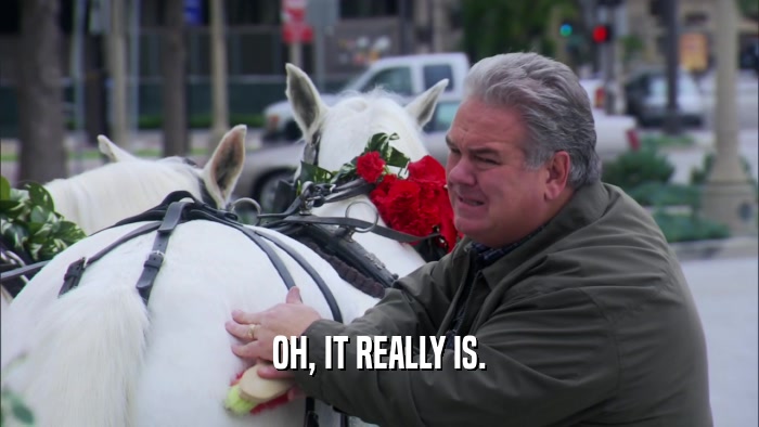 OH, IT REALLY IS.  
